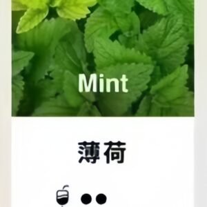 TUTX電子菸煙彈 3入裝·通用一代主機【薄荷口味可選】